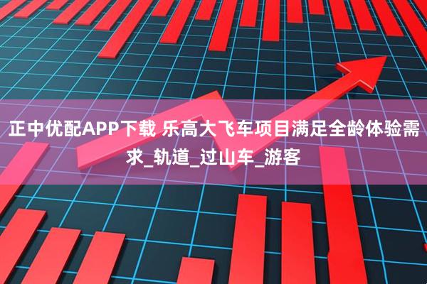 正中优配APP下载 乐高大飞车项目满足全龄体验需求_轨道_过山车_游客