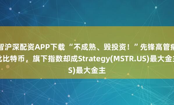 智沪深配资APP下载 “不成熟、毁投资！”先锋高管痛批比特币，旗下指数却成Strategy(MSTR.US)最大金主