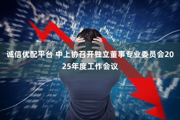 诚信优配平台 中上协召开独立董事专业委员会2025年度工作会议